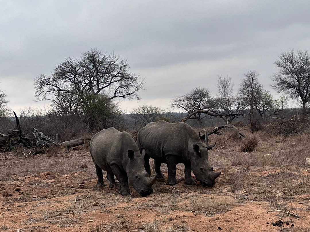 African Travel Consultants-Sabie Park必去景点