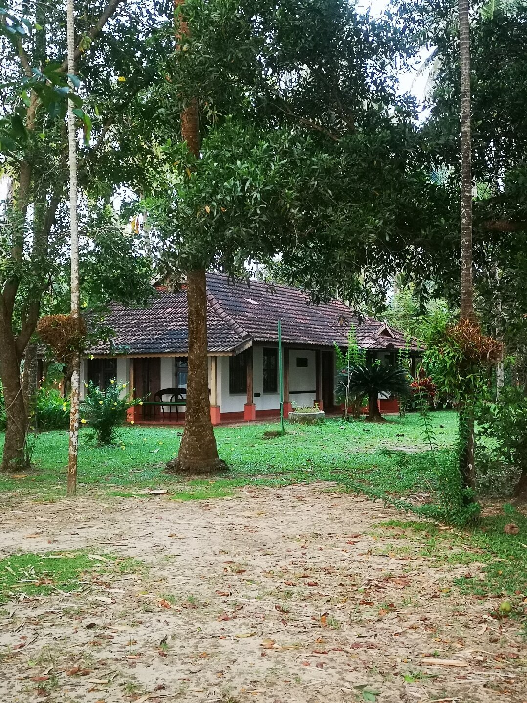 Gramam Homestay-官方