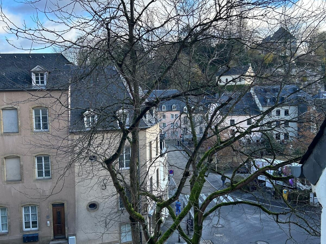 La Pipistrelle Hotel主图