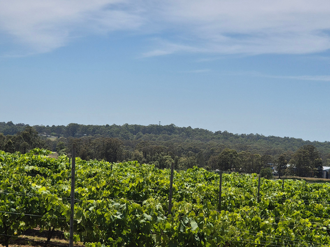 Ernest Hill Wines景点图片