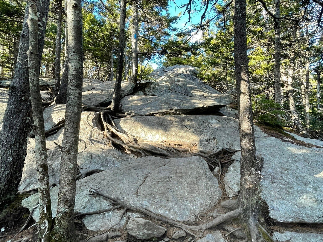 Stowe Pinnacle-斯托必去景点