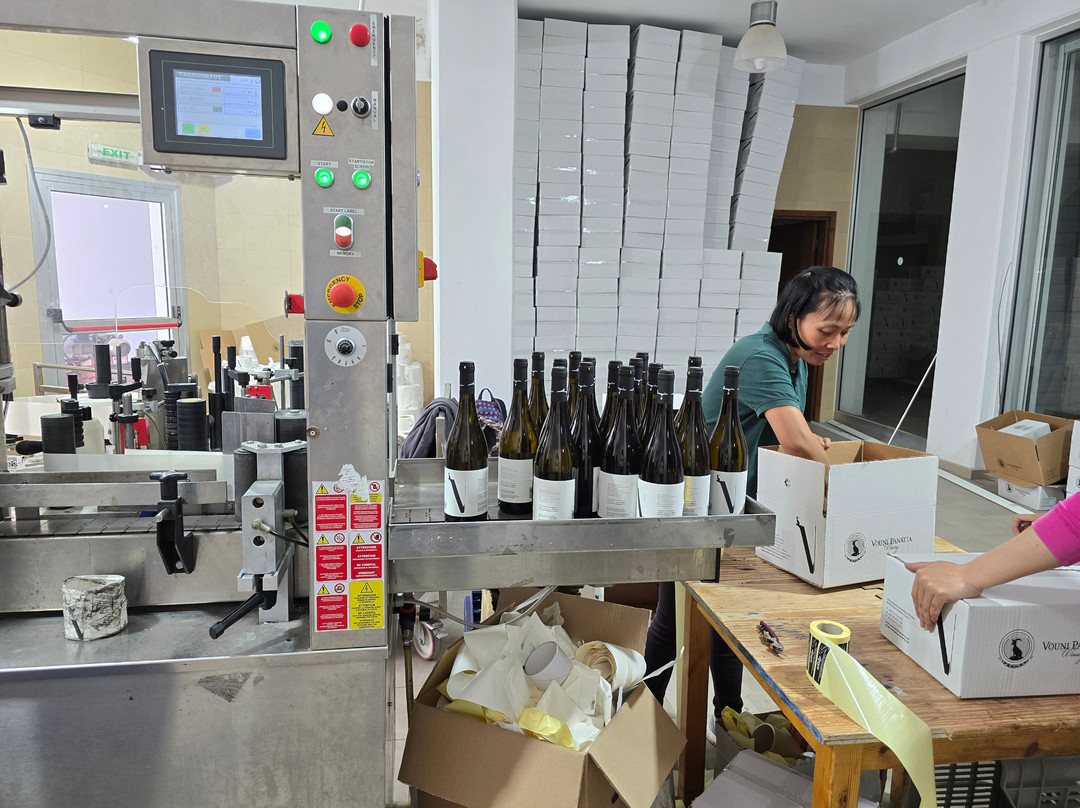 Vouni Panayia Winery景点图片