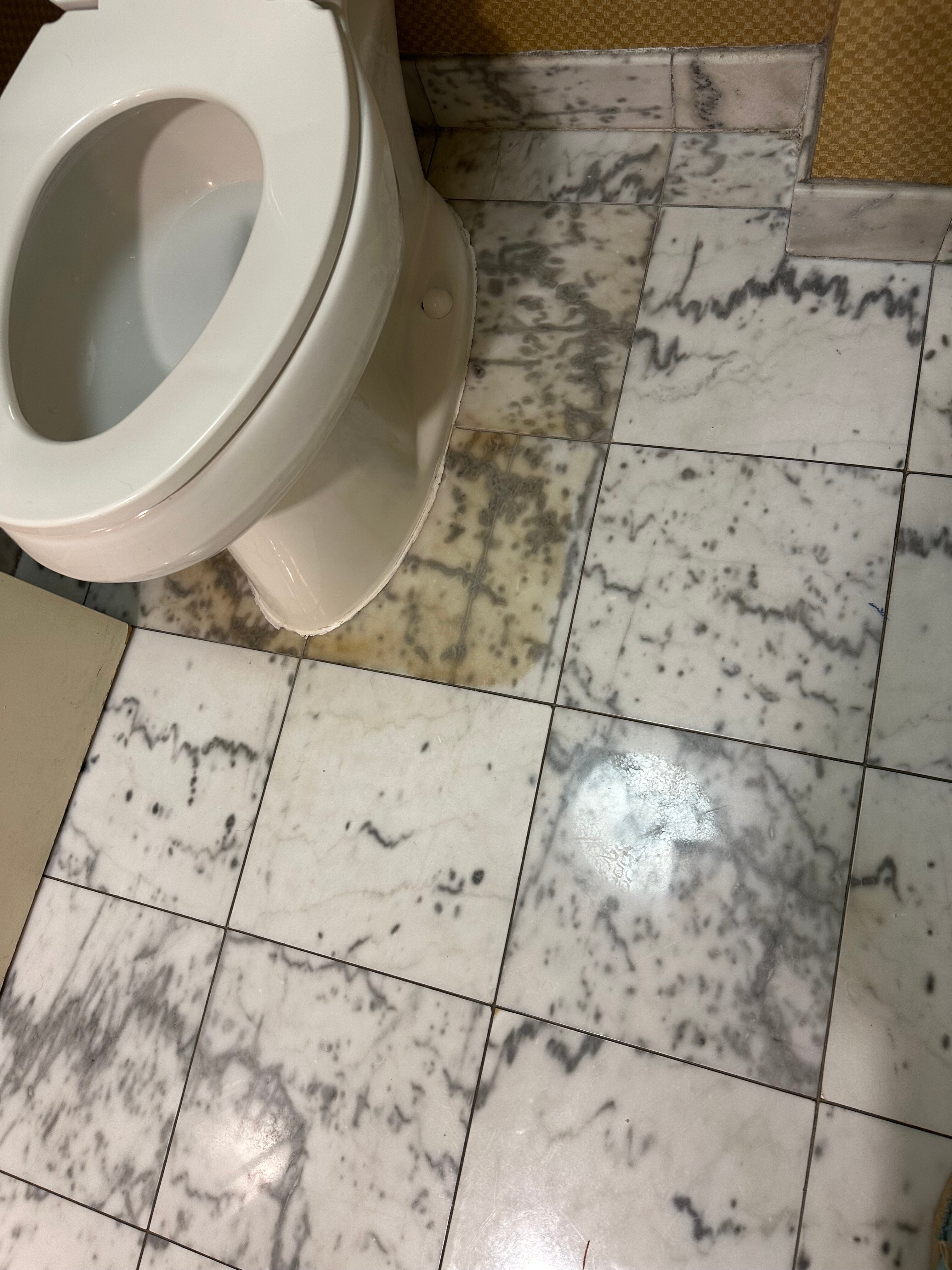 Homewood Suites By Hilton Newtown - Langhorne-浴室