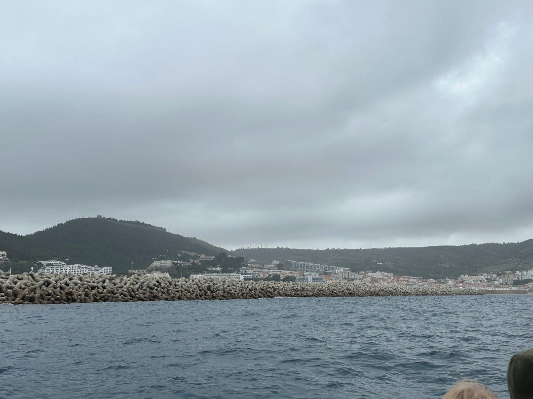 Arrábida Life-塞新布拉必去景点