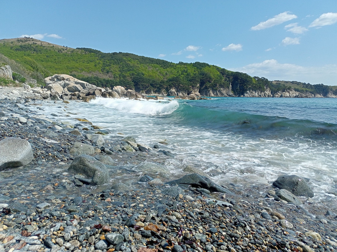State Marine Conservation Area景点图片
