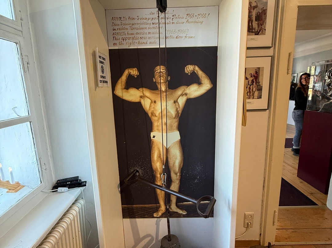 Arnold Schwarzenegger Museum景点图片
