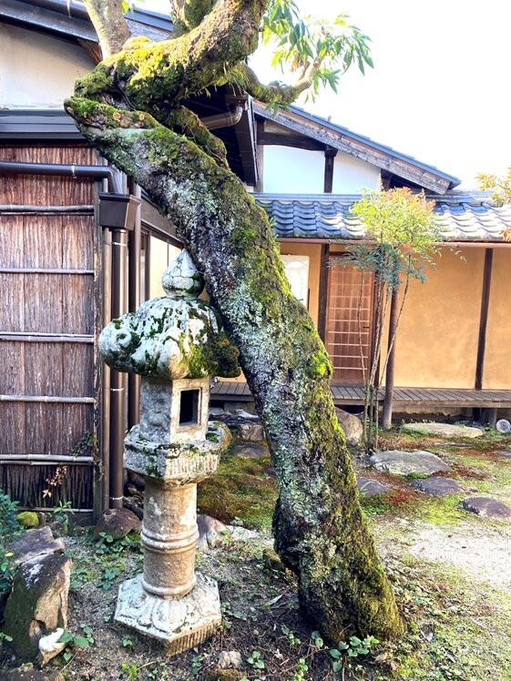 Emperor Meiji Anzaisho (Iwai Residence)-惠那市必去景点