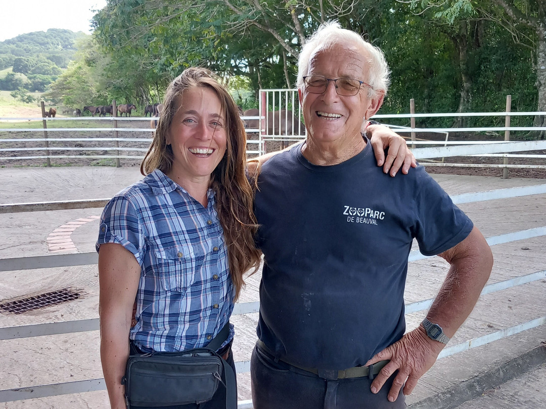 Ranch Jack-Trois-Ilets必去景点