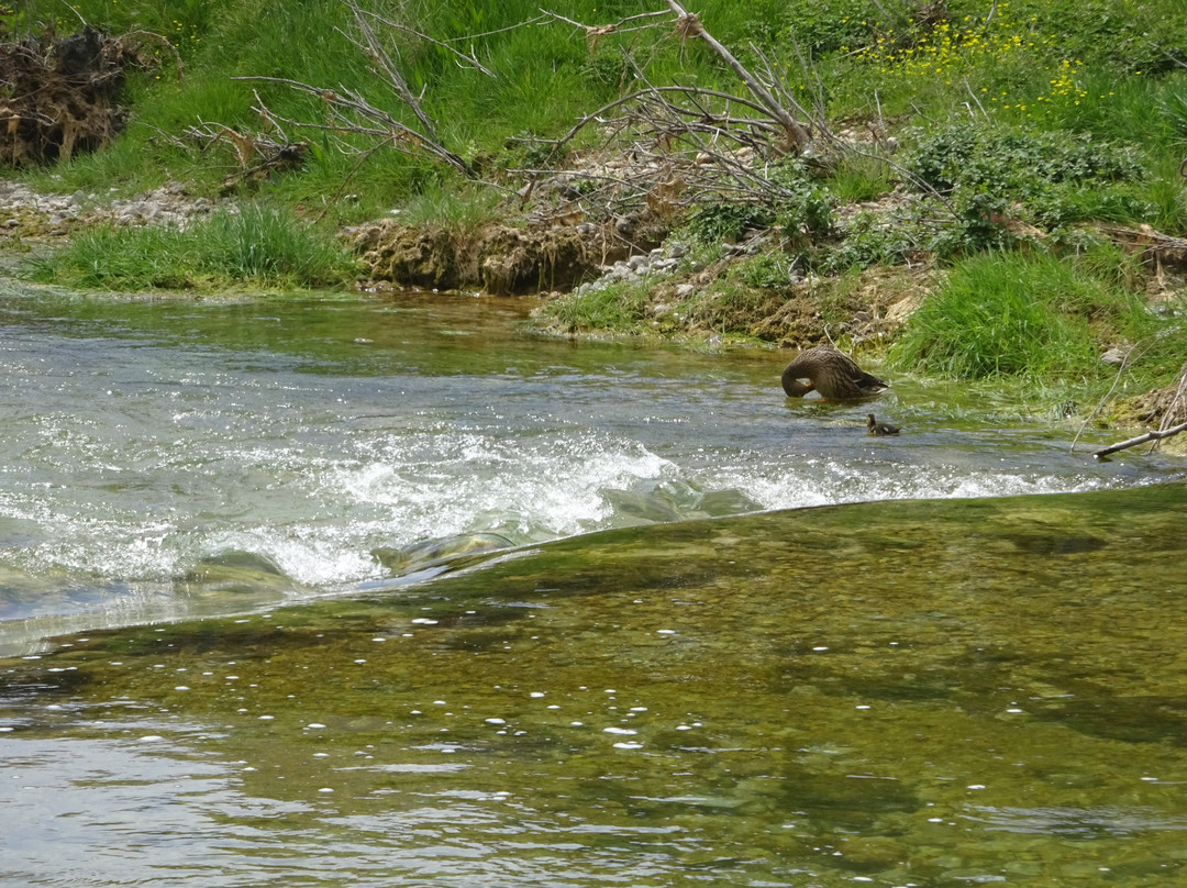 Bregava River景点图片