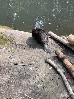 ZOO Ljubljana-卢布尔雅那必去景点