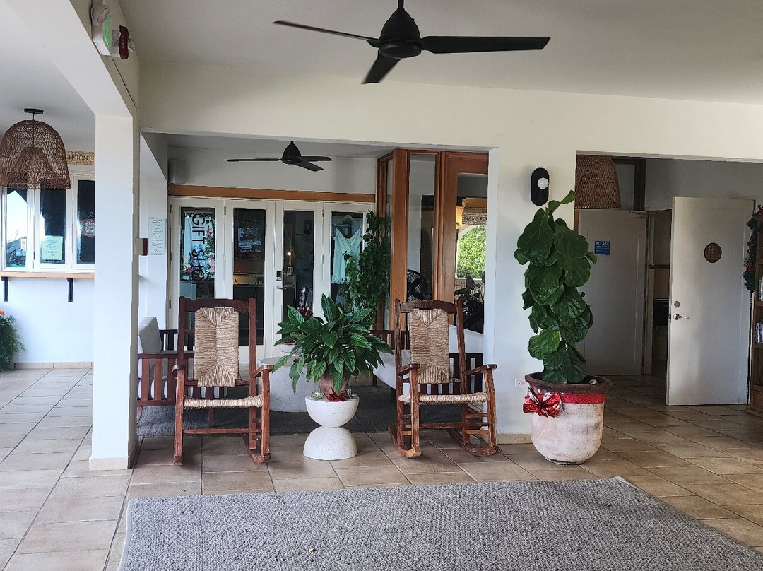 懒鹦鹉酒店主图