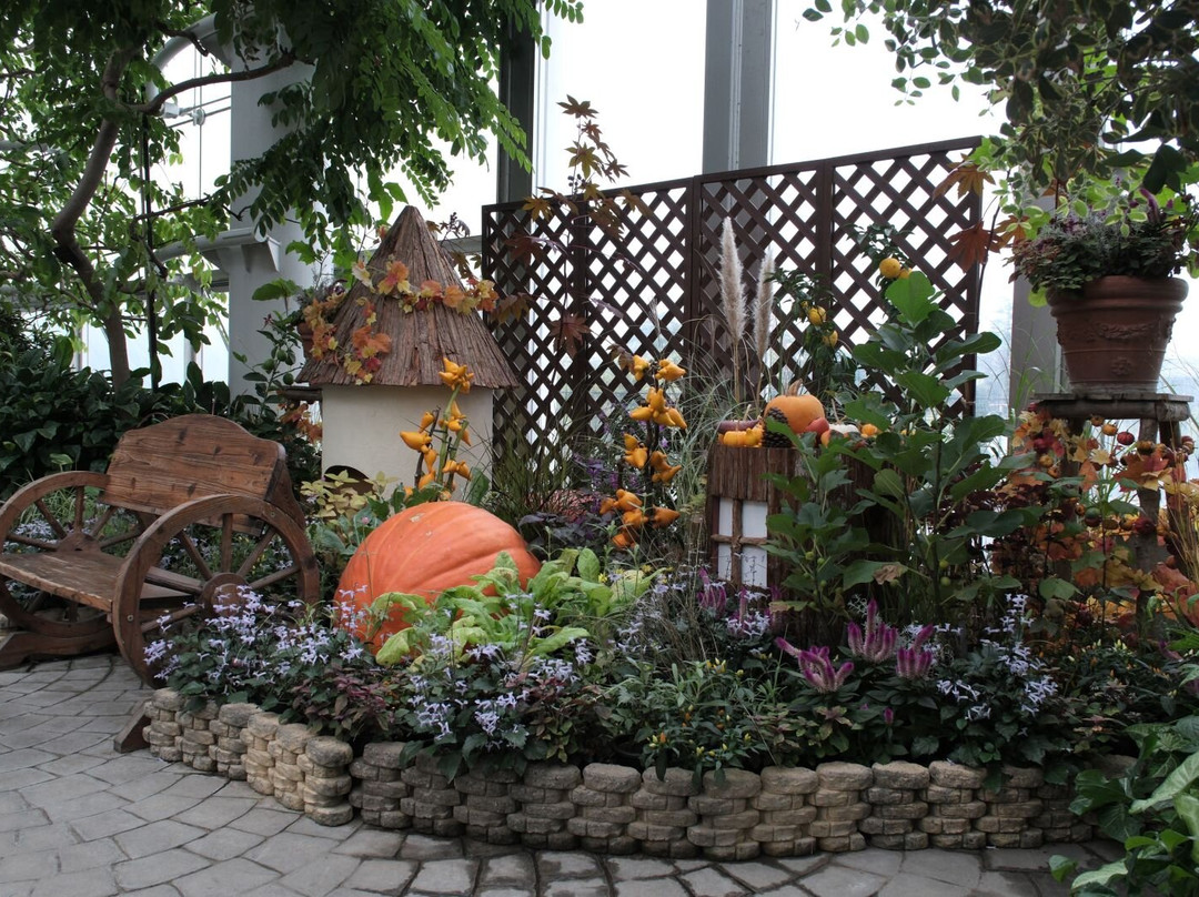 Hamamatsu Flower Park景点图片