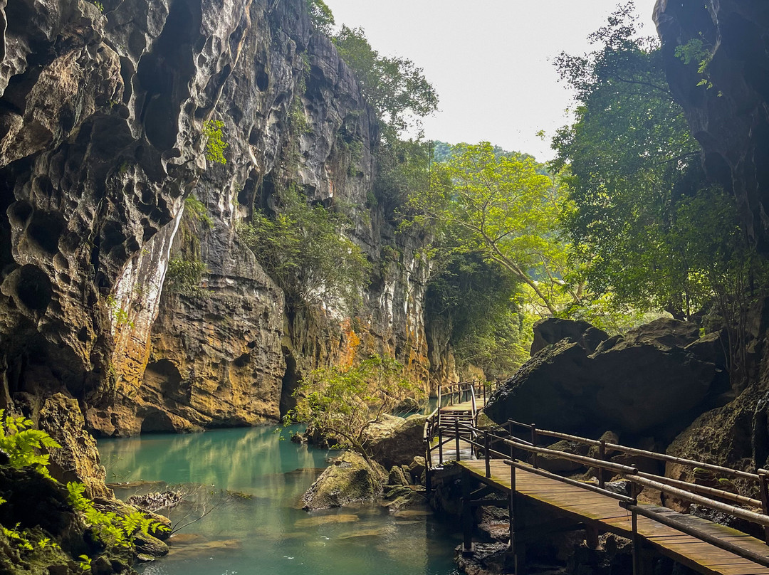 Phongnha Discovery景点图片