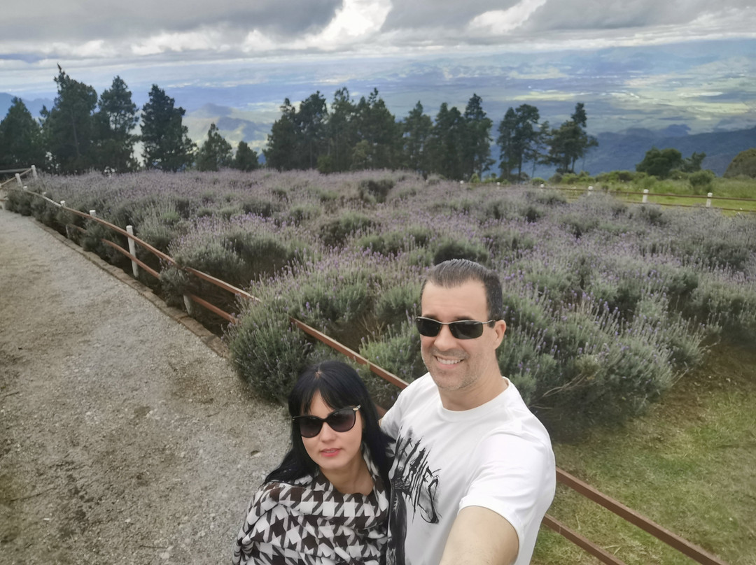 Parque do Itapeva-Pindamonhangaba必去景点