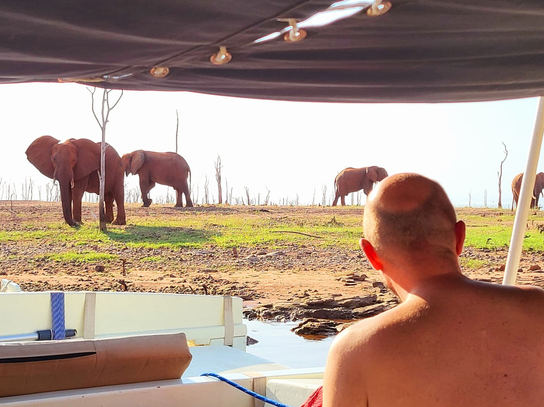 Sail With Elephants, Kariba景点图片