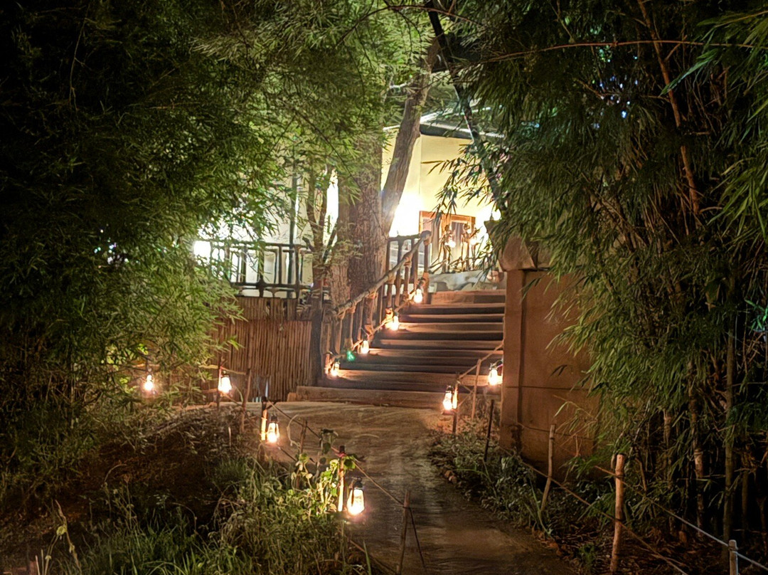 Banjaar Tola - A Taj Safari - Kanha National Park主图