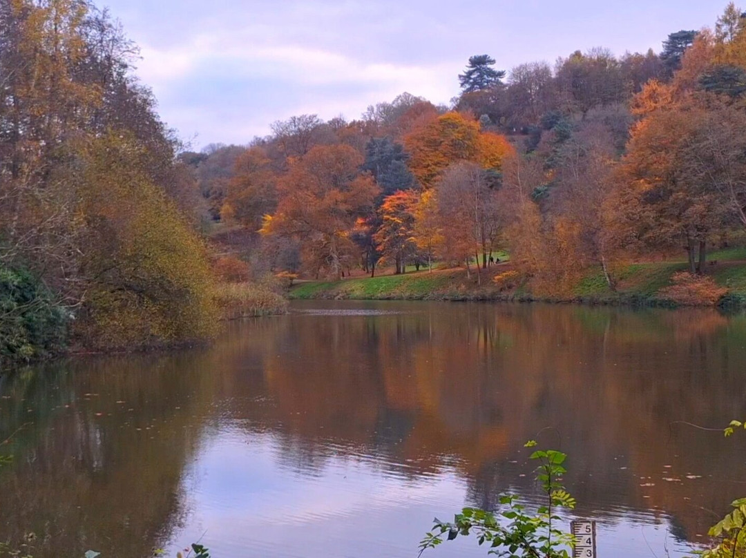Winkworth Arboretum景点图片