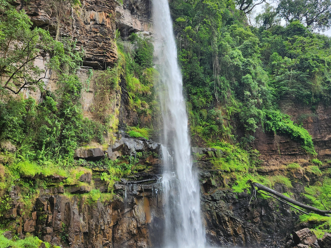 Lone Creek Falls-沙比必去景点