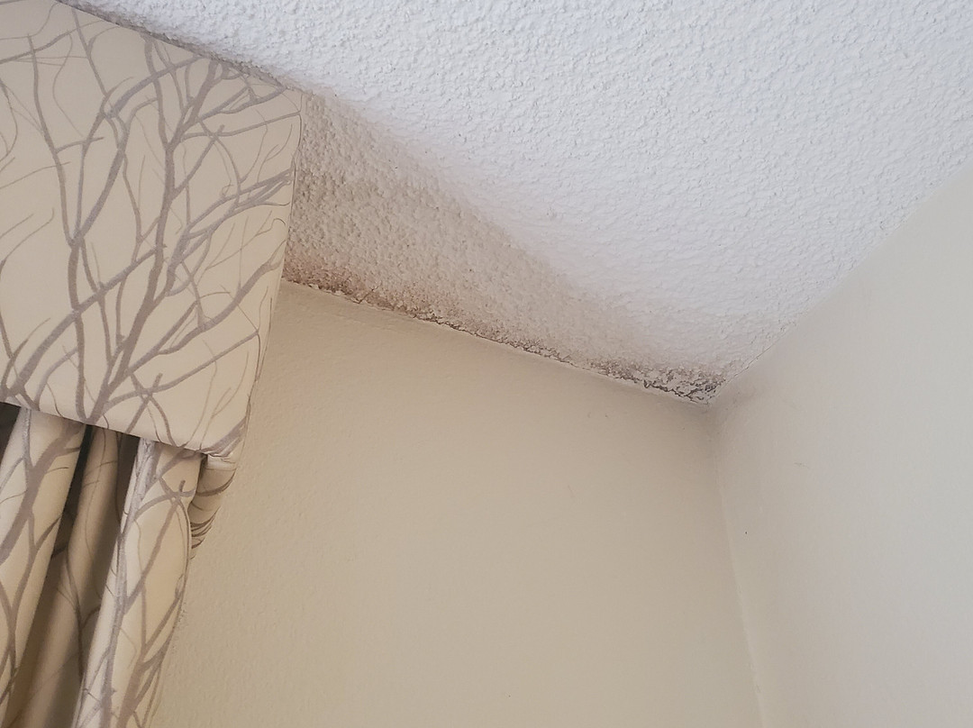 Comfort Inn Metro Airport主图