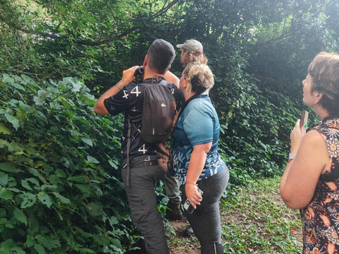 St Lucia Birding Tours- Ian Ferreira-圣露西亚必去景点