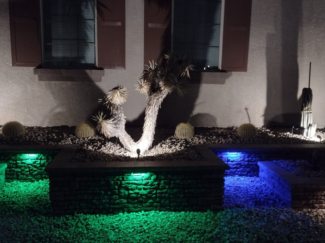 Cactus Joe's Blue Diamond Nursery-拉斯维加斯必去景点