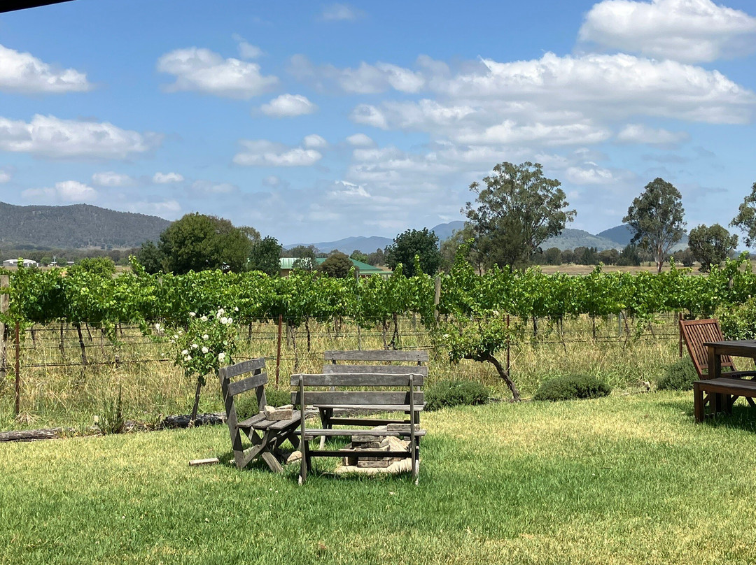 Vinifera Wines-马奇必去景点