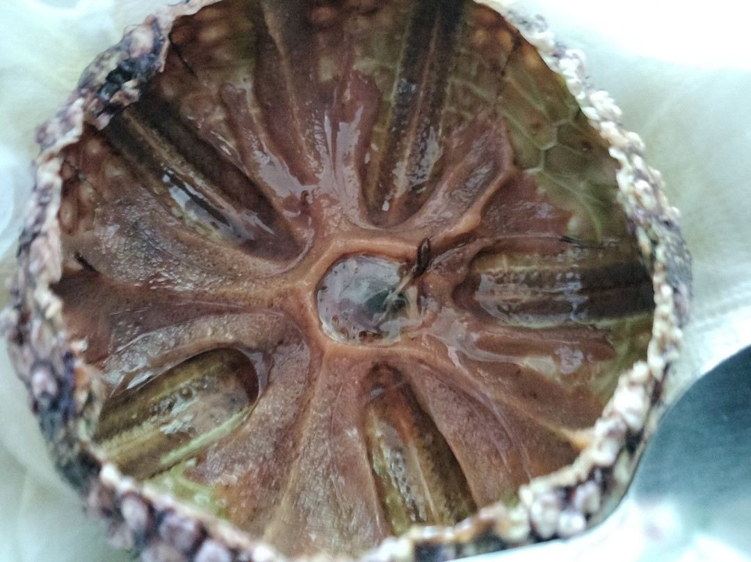 Asian Seafood Boracay by Chefs Wok 888 Restaurant