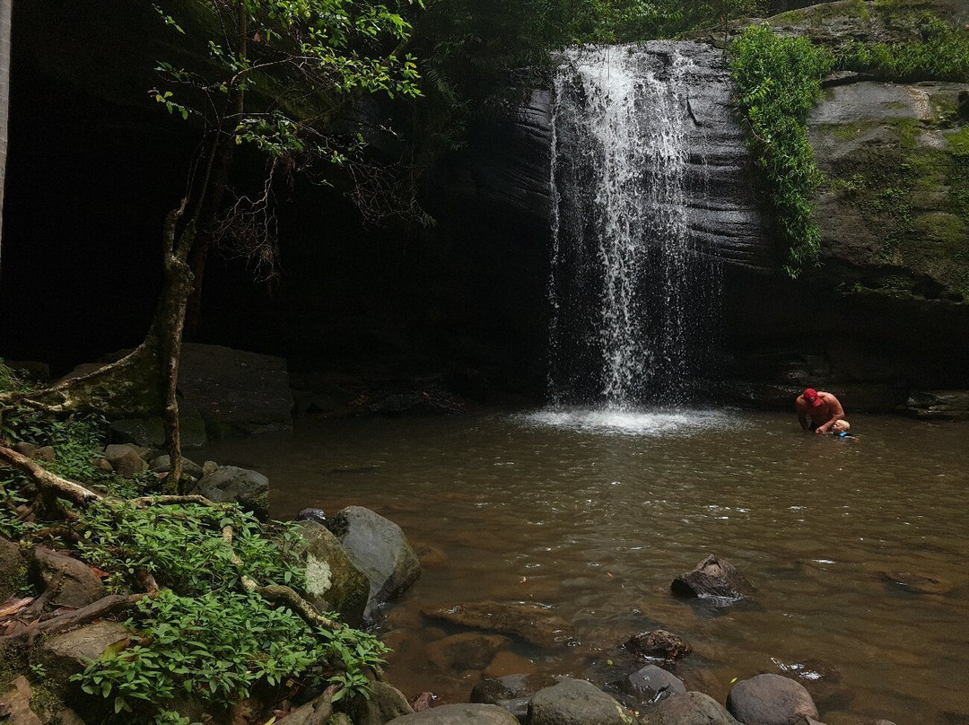 Buderim Forest Park-Buderim必去景点