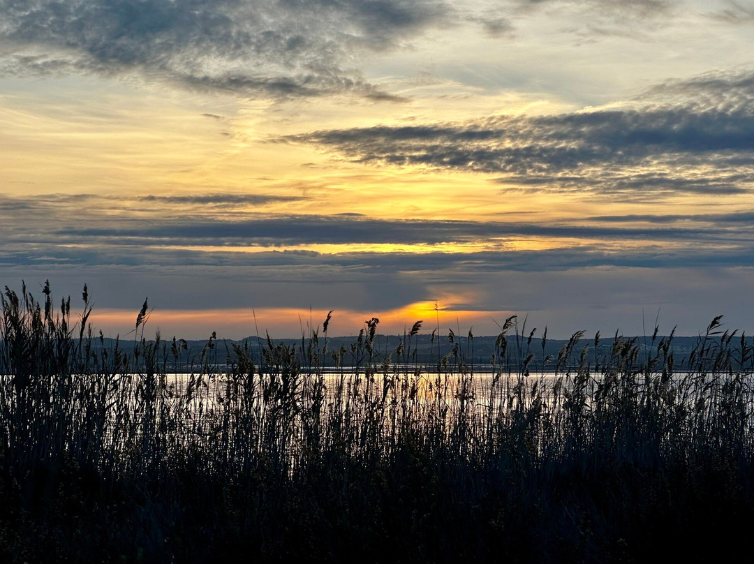 Laguna Salada de Torrevieja景点图片