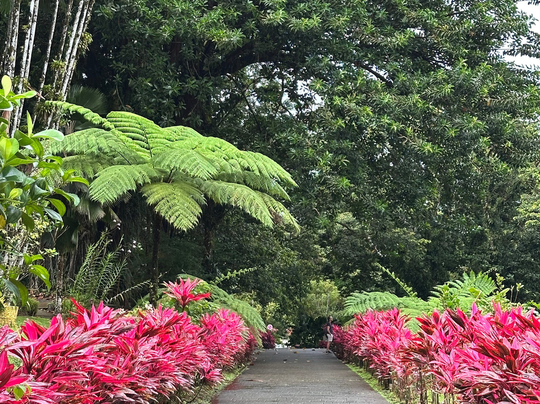 Domaine d'Emeraude-Le Morne-Rouge必去景点