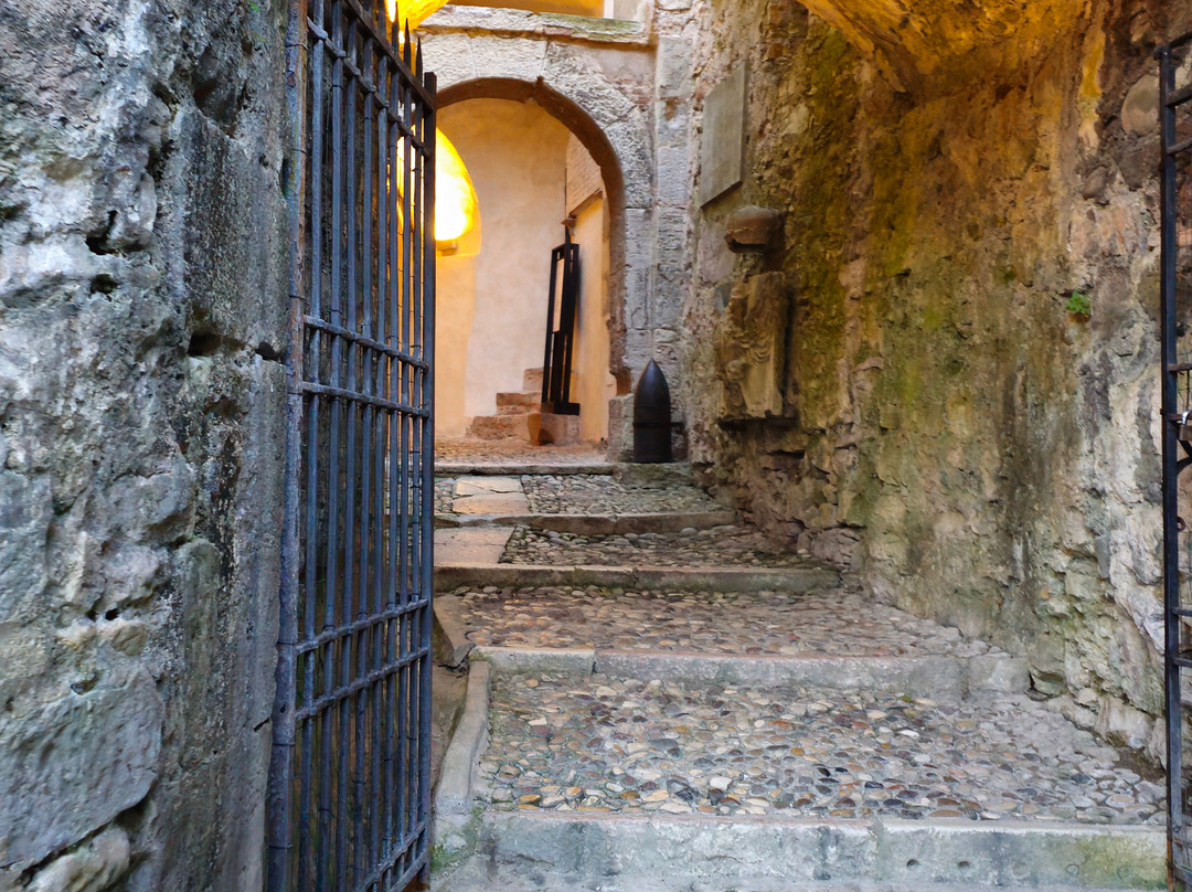 Museo Storico Italiano Della Guerra景点图片