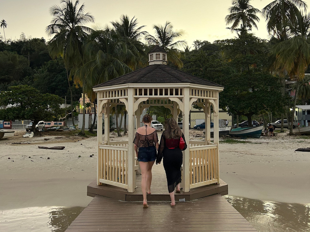 Alec Taxi Service TTT-西班牙港必去景点