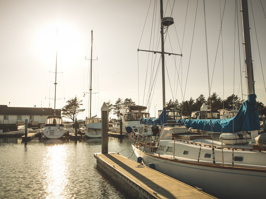 埃默里维尔旅游景点-Safe Harbor Emeryville