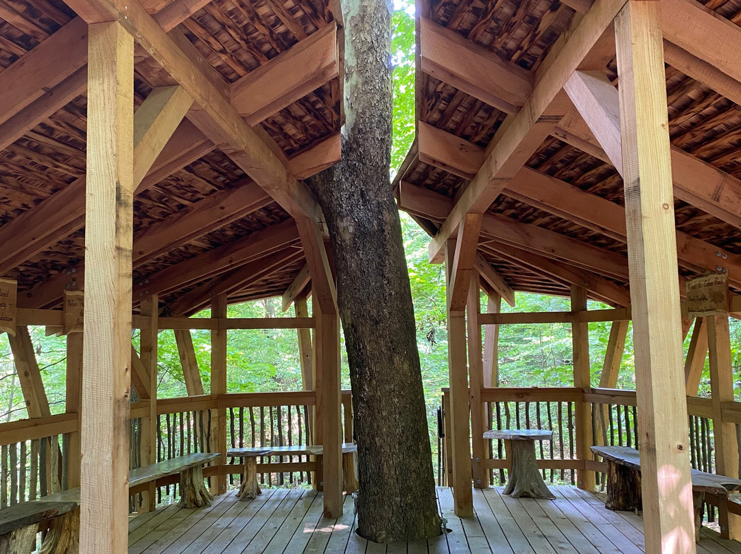 Ohio Bird Sanctuary景点图片