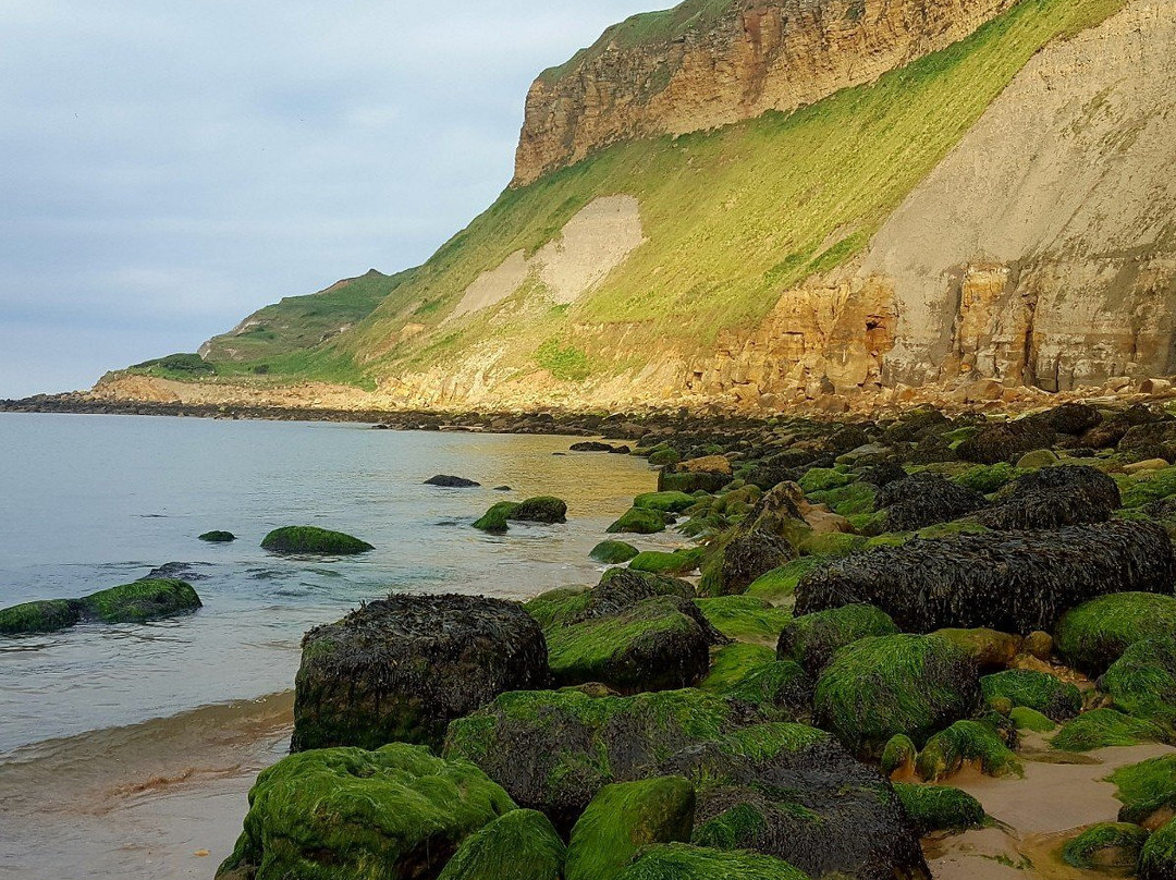 Cayton Bay Beach景点图片