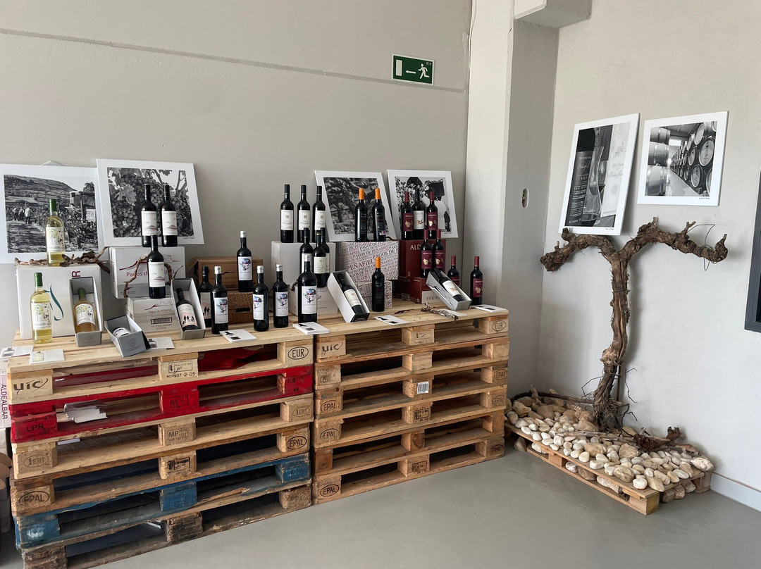 Bodega Hijos De Antonio Polo景点图片
