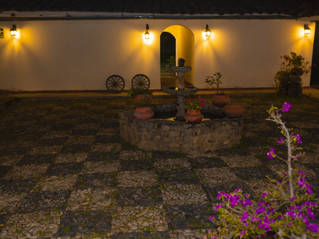 Hotel El Patio de Monterrey主图