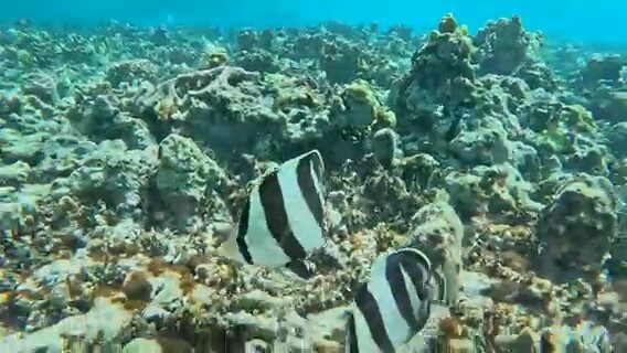 Antigua Island Paradise-圣 约翰必去景点