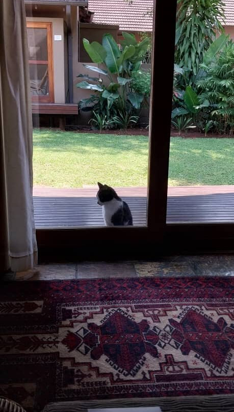 Mhlati Guest Cottages主图