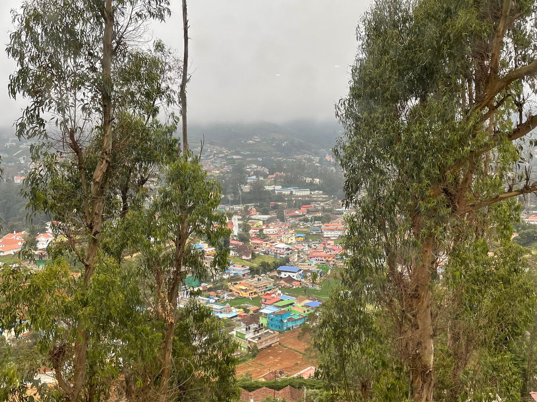 Hotel Gem Park Ooty主图