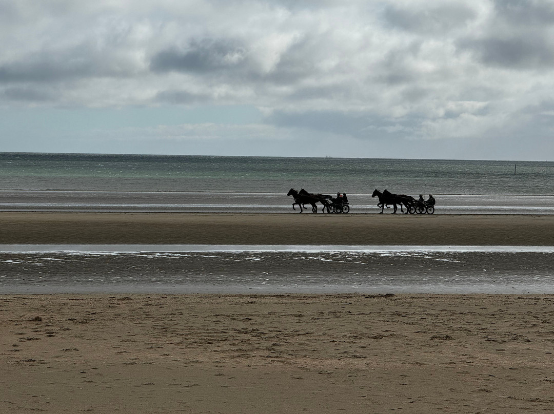 Utah Beach景点图片