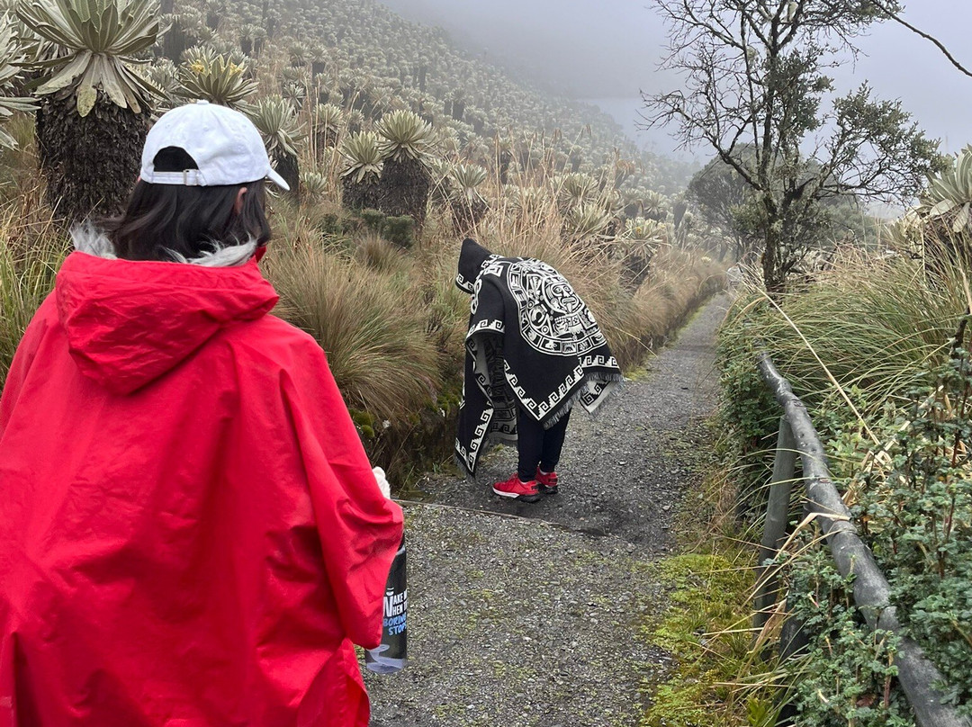 Reserva Ecologica El Ángel-El Angel必去景点