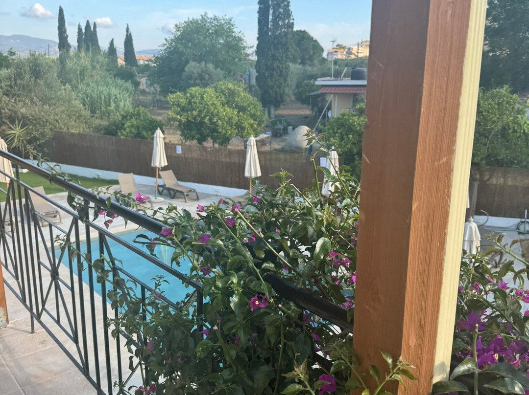 Barbara Ann Apartments主图