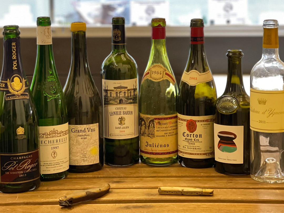 Wine Tasting LYON | JEANGUYOT Wine Agency-里昂必去景点