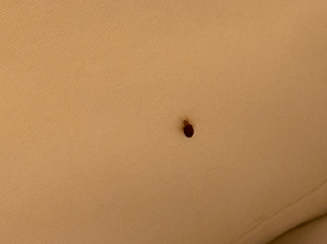 Courtyard by Marriott Peoria Downtown主图