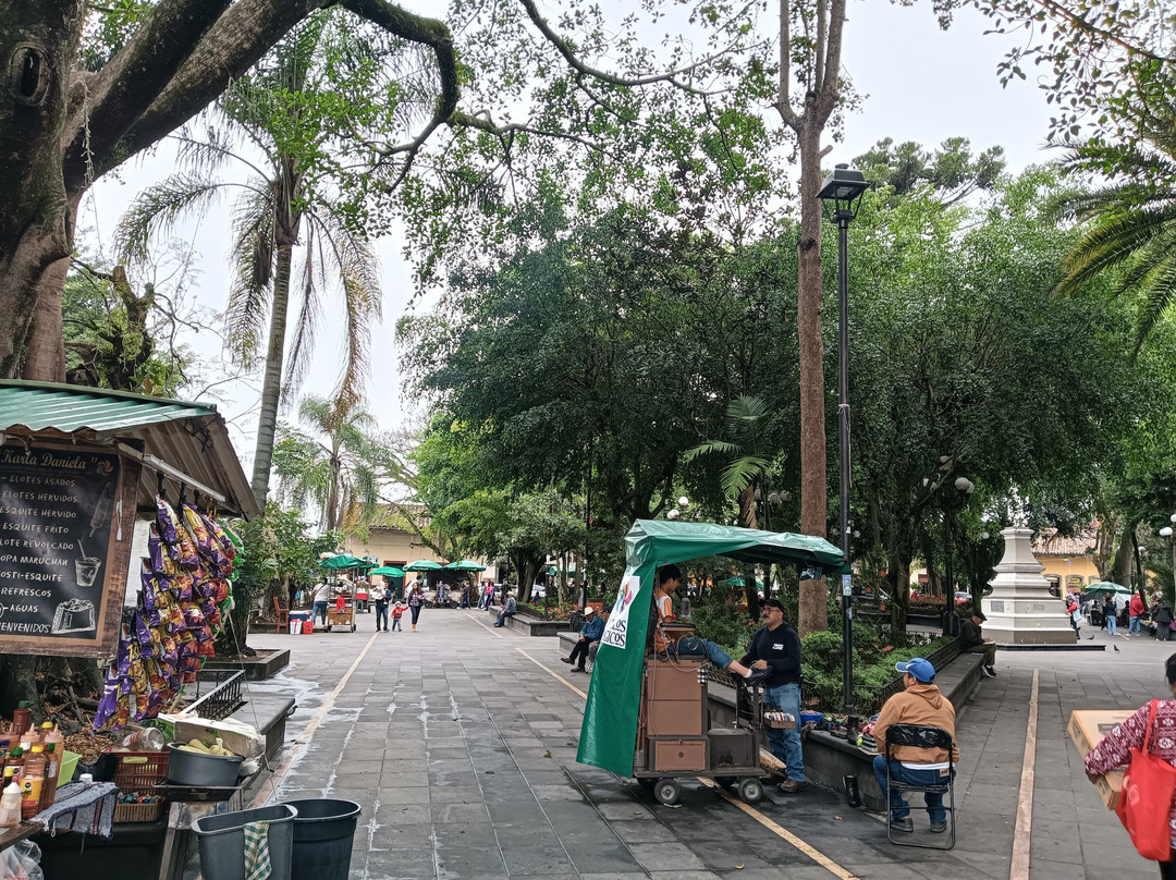 Fiesta Inn Xalapa主图