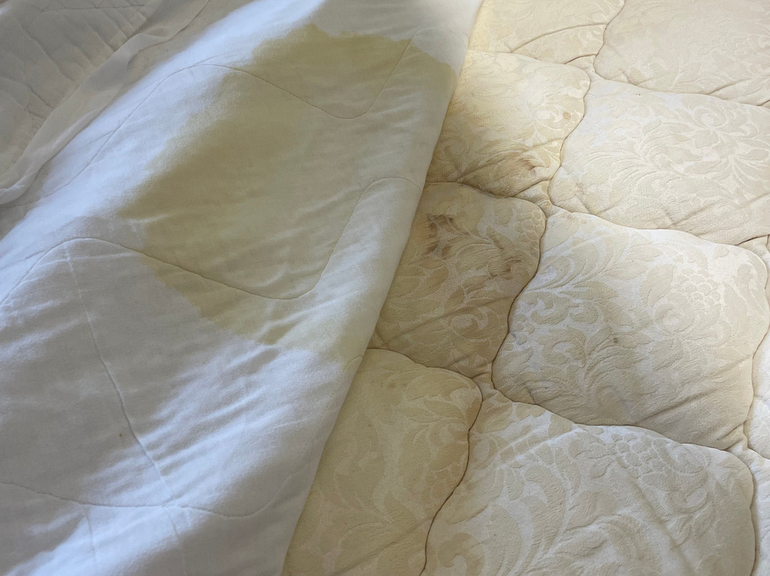 Microtel Inns & Suites by Wyndham Southern Pines / Pinehurst主图