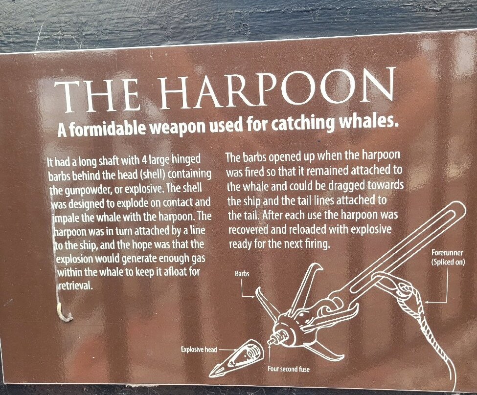 Albany's Historic Whaling Station-Frenchman Bay必去景点