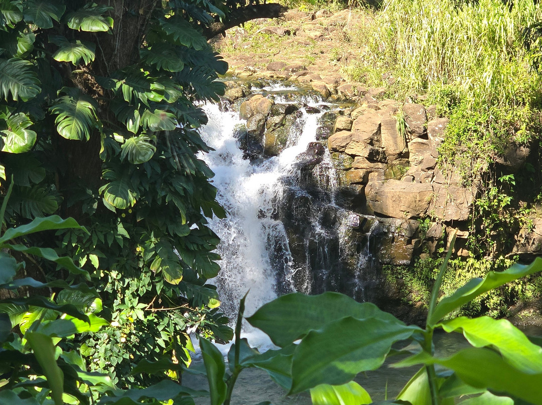 The Kings Gardens Maui-Huelo必去景点