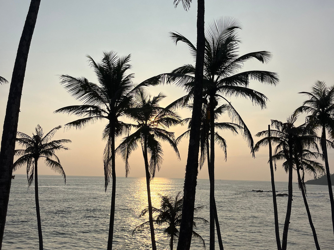 Nana's Lanka Tours & Travels-尼甘布必去景点